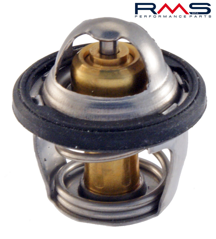 Thermostat RMS 100120010