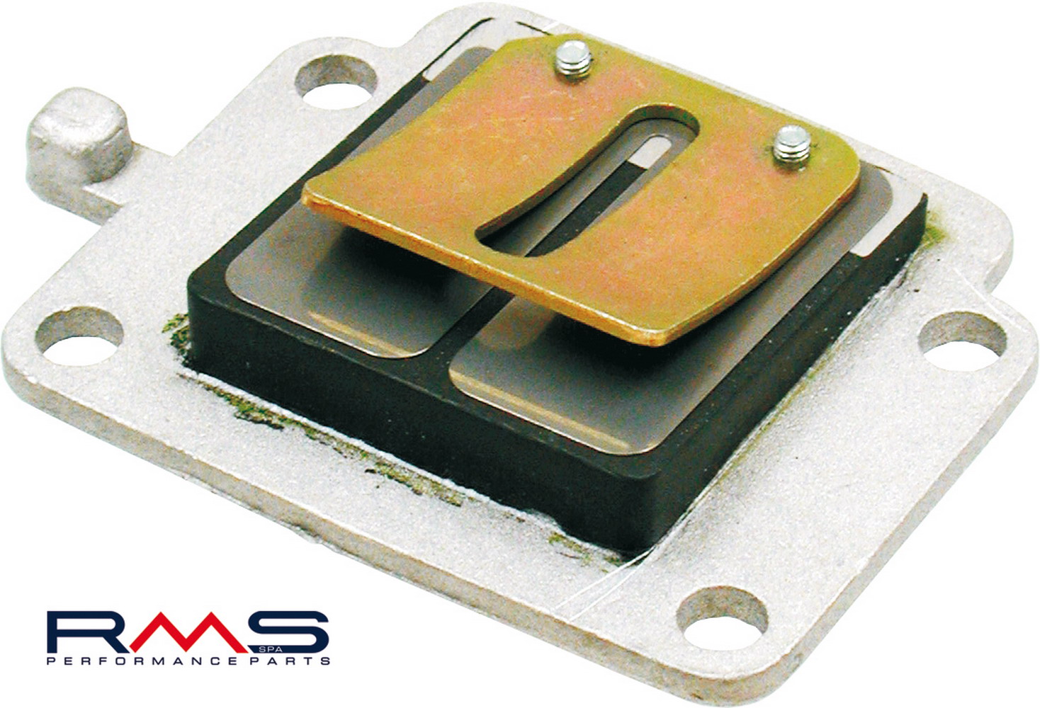 Reed valves RMS 100560010