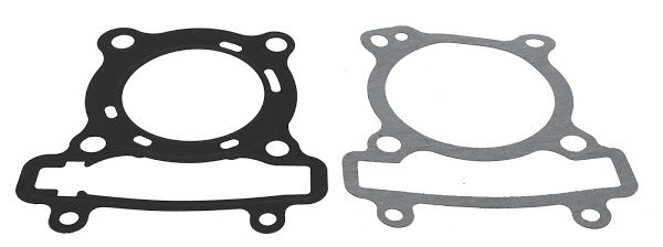 Cylinder gasket RMS 100680461