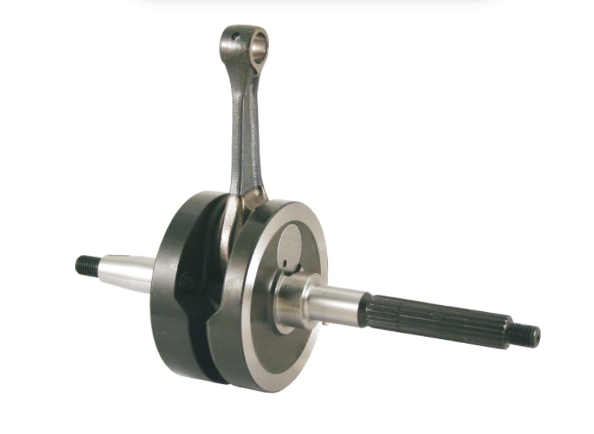 RADILICA-100010320---RMS