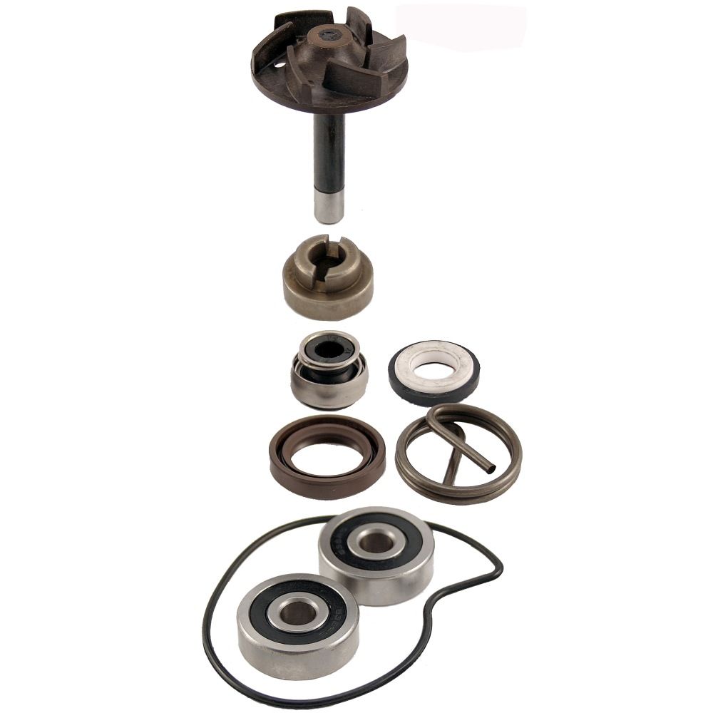 SET ZA REPARACIJU PUMPE VODE-100110220---RMS