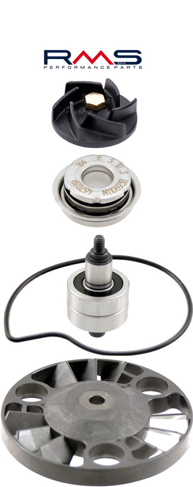SET ZA REPARACIJU PUMPE VODE-100110230---RMS