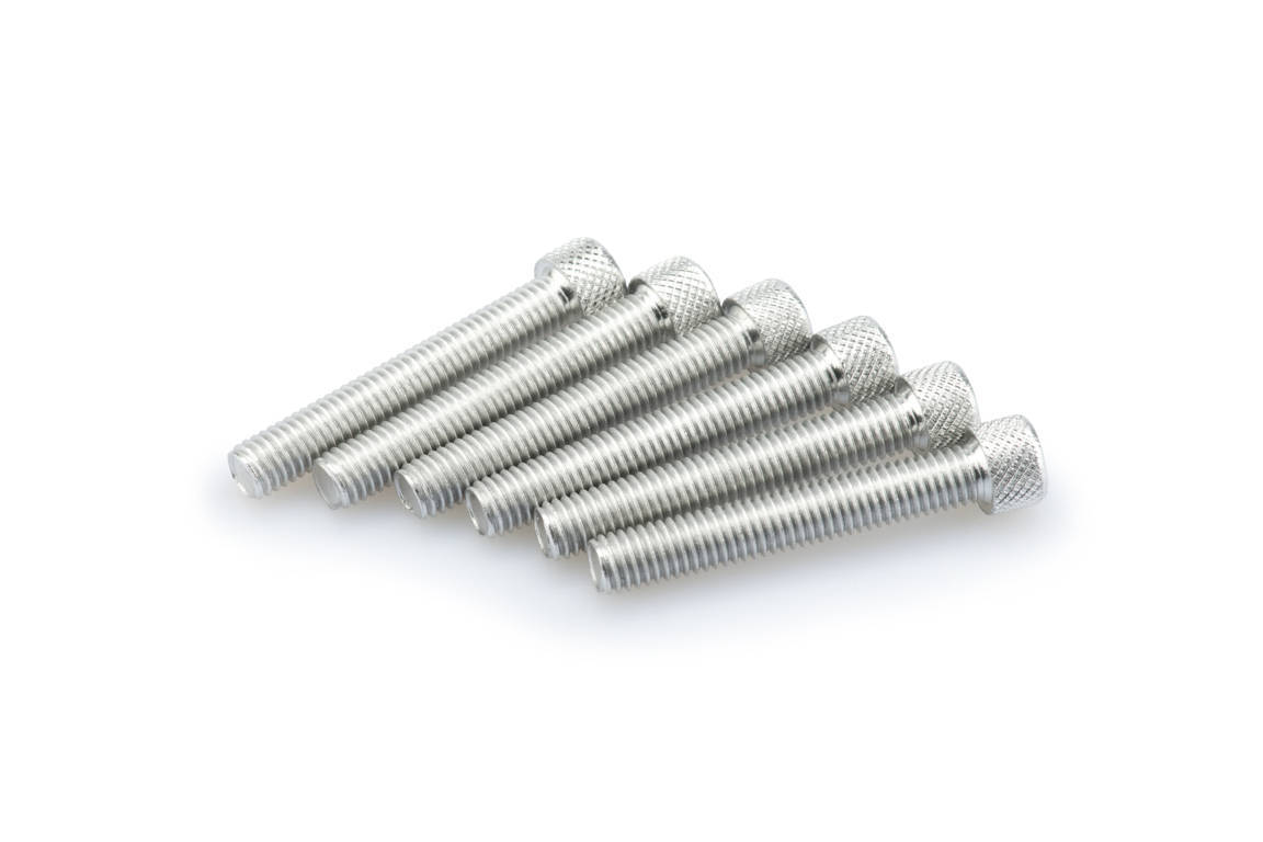 Screws PUIG ANODIZED 0524P silver M8 x 50mm (6pcs)