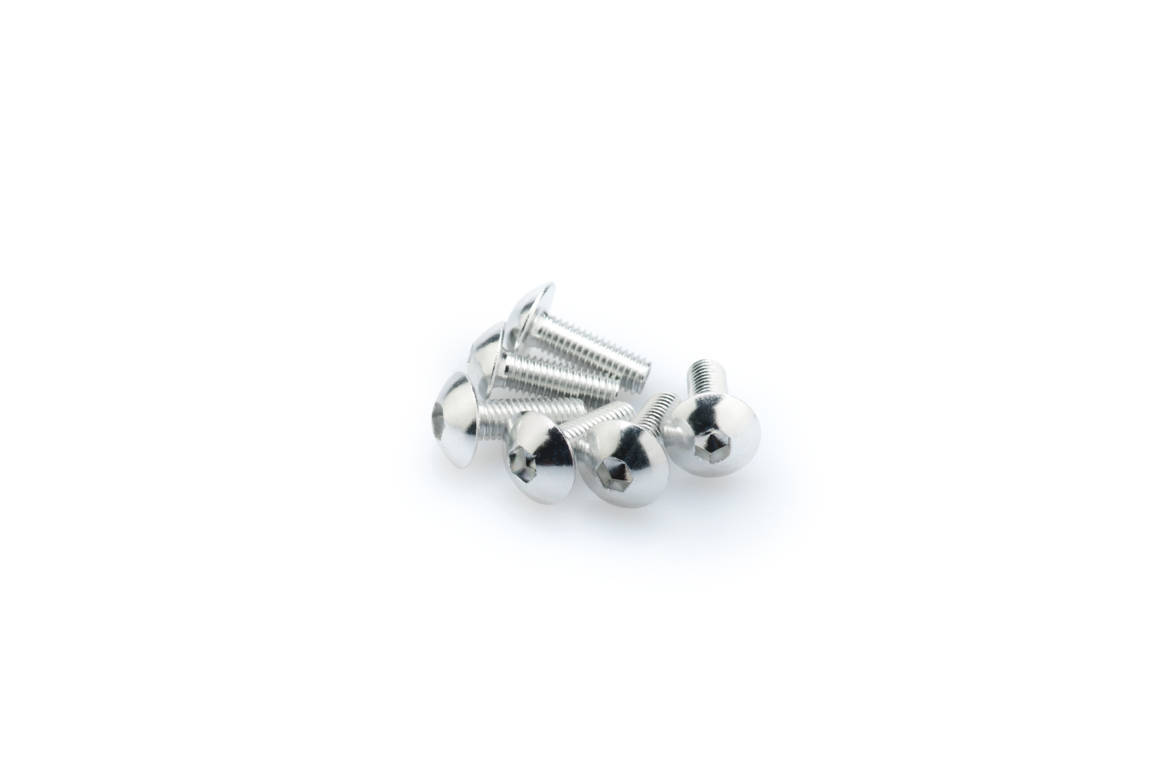 Screws PUIG ANODIZED 0543P silver M5 x 15mm (6pcs)