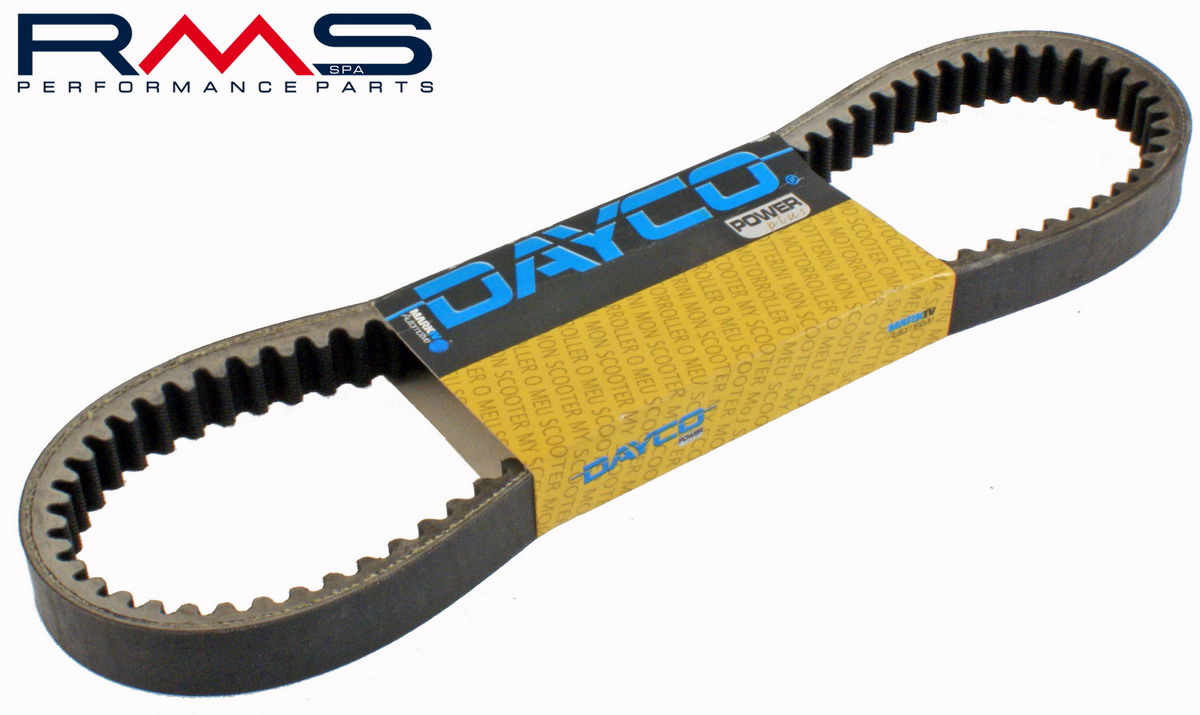 Transmission belt DAYCO DAYCO 163770100