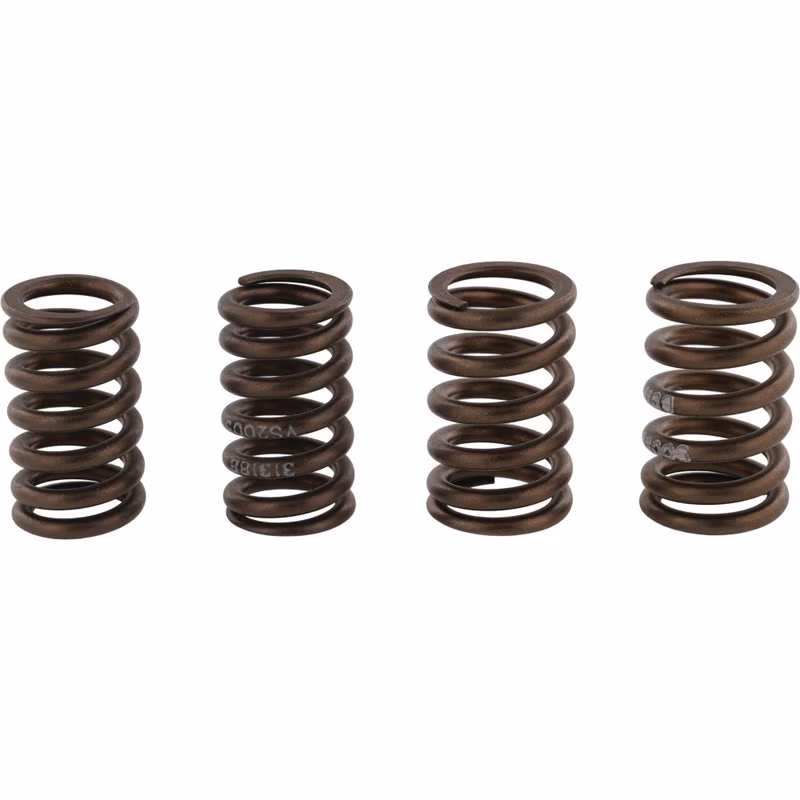 Valve spring kit HOT CAMS VSK2006