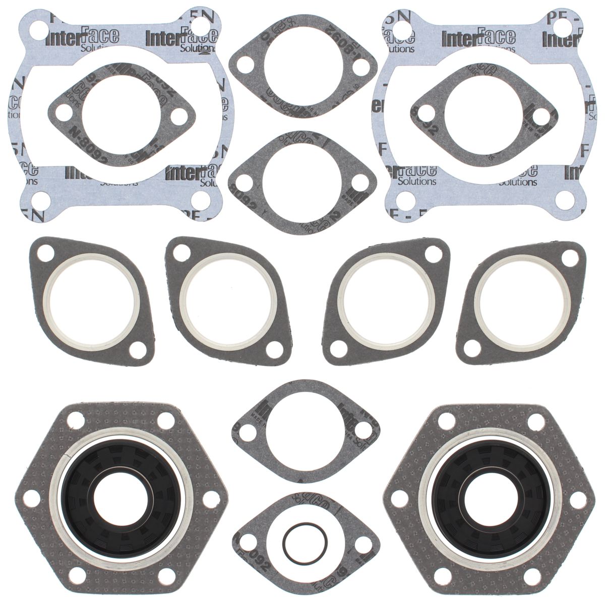 Complete Gasket Kit with Oil Seals WINDEROSA 711110B