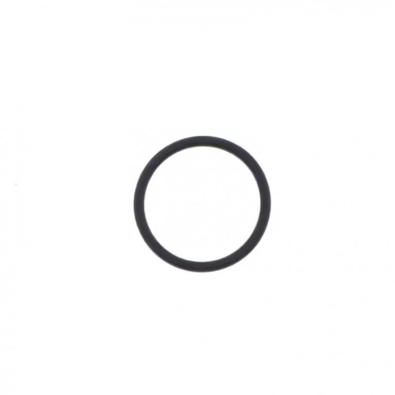 Intake O-Ring ATHENA M752002050004