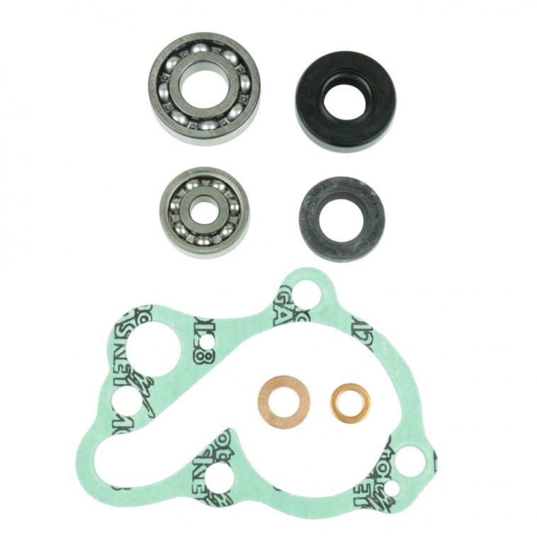 Set za popravak vodene pumpe ATHENA P400210348085 + bearings