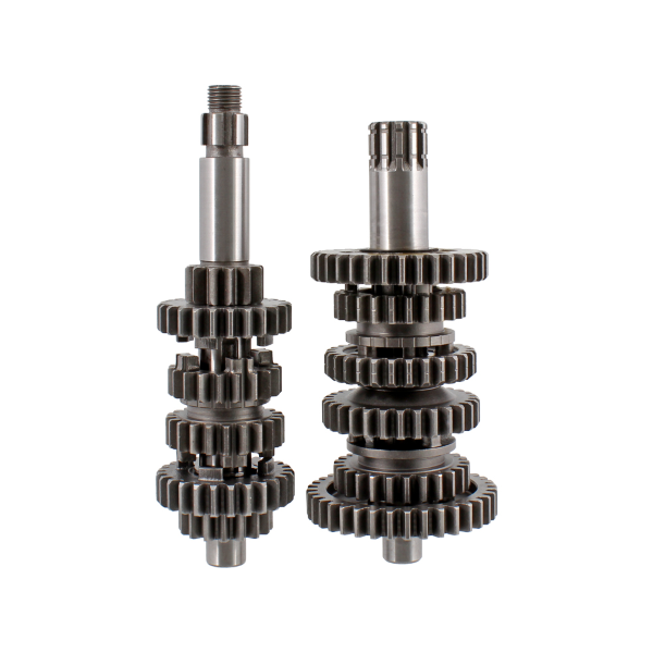 Complete gear crank RMS 100240070